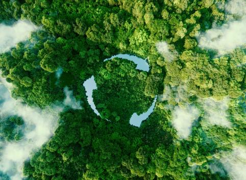 Abstract icon representing the ecological call to recycle and reuse in the form of a pond with a recycling symbol in the middle of a beautiful untouched jungle