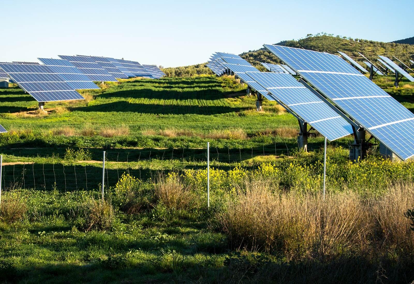 green field solar panels