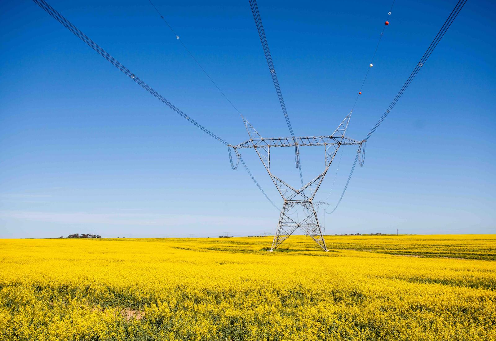 South Africa Power Grid 2