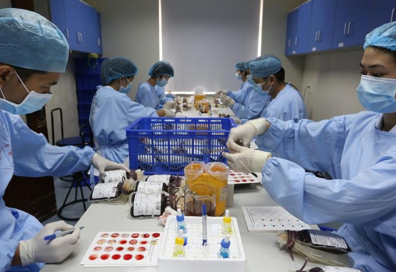 People testing blood samples