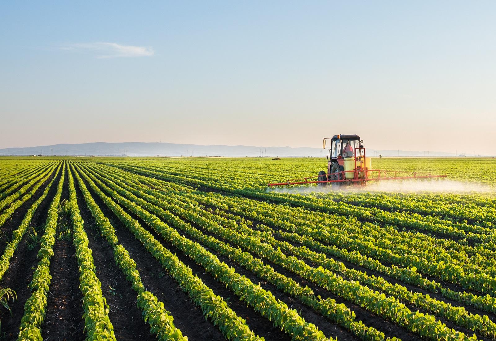 Farming group. Растениеводство. Сельское хозяйство. Экология сельского хозяйства. Сельское хозяйство России.