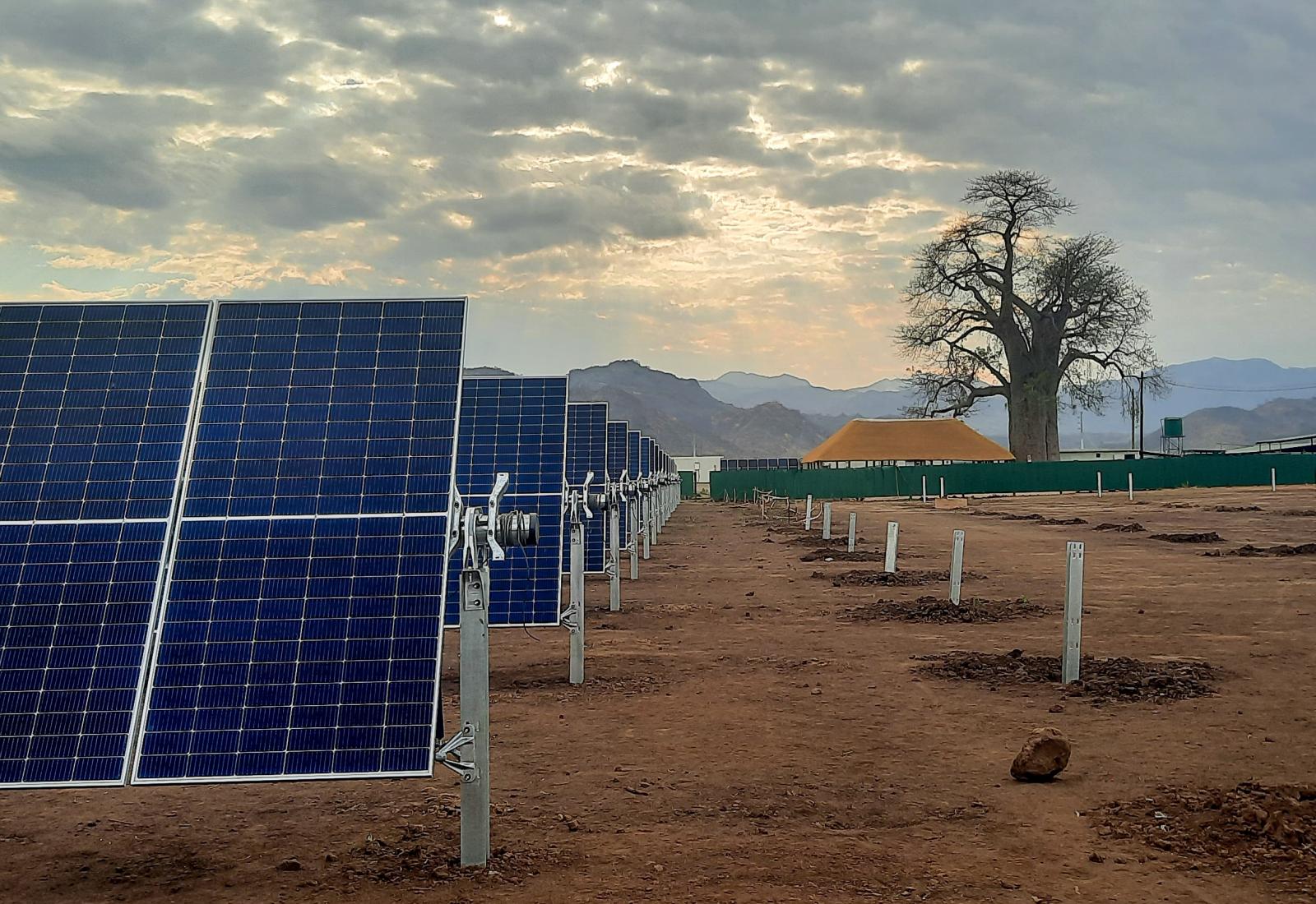 solar construction site with a boabab tree
