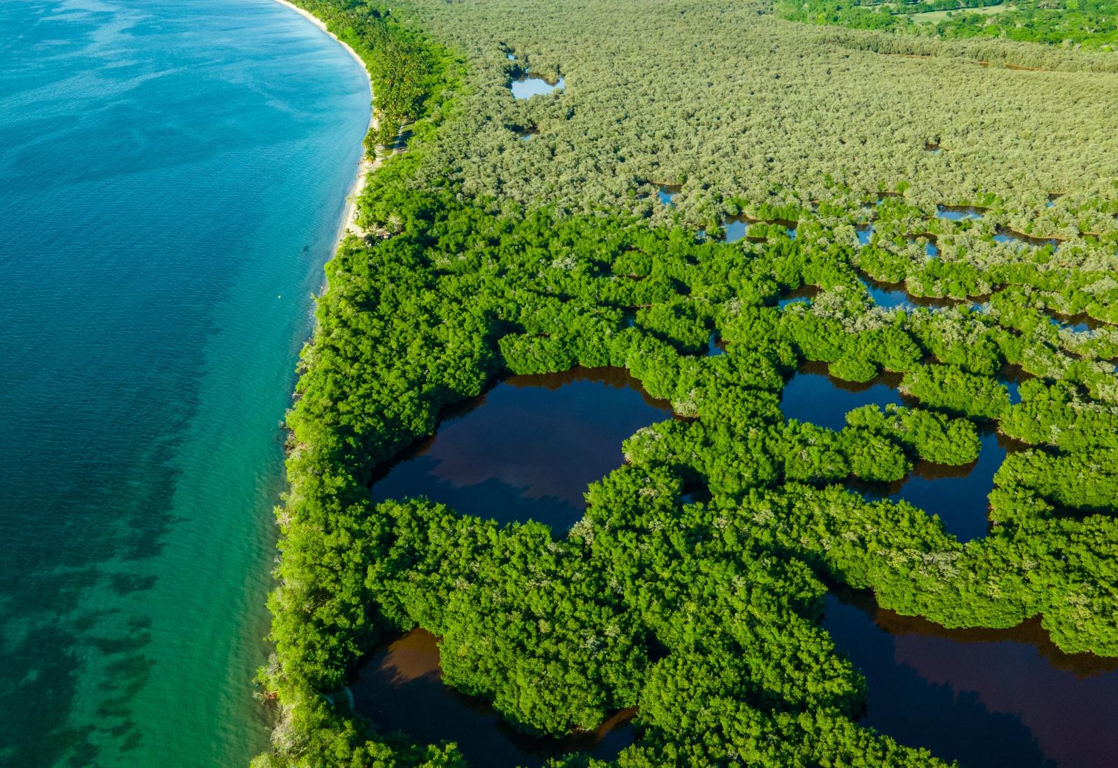Aerial view of mangrove forests and the Caribbean Sea in Rincon del Mar, Sucre, Colombia